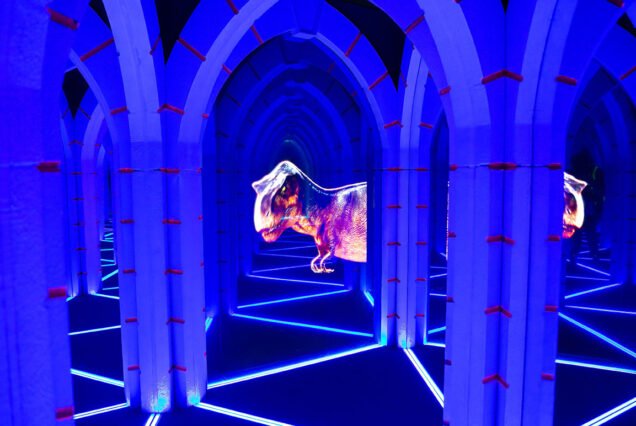 Dubai best attraction cheap price tickets