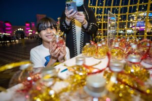 Dubai best attraction cheap price tickets