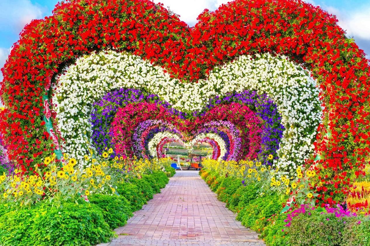 Best Dubai Miracle Garden cheap tickets price