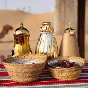 Dubai Best Desert Safari Shared cheap tickets price