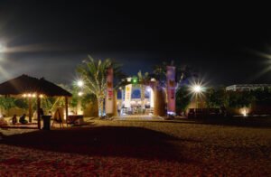 Dubai Best Desert Safari Shared Cheap tickets