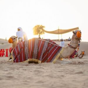 Best Dubai Desert Safari Shared cheap tickets price