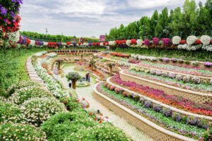 Dubai attractions cheap tickets
