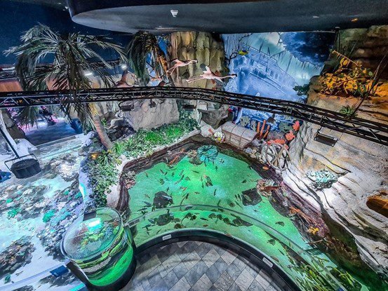 Best Dubai Desert Safari Shared cheap tickets price