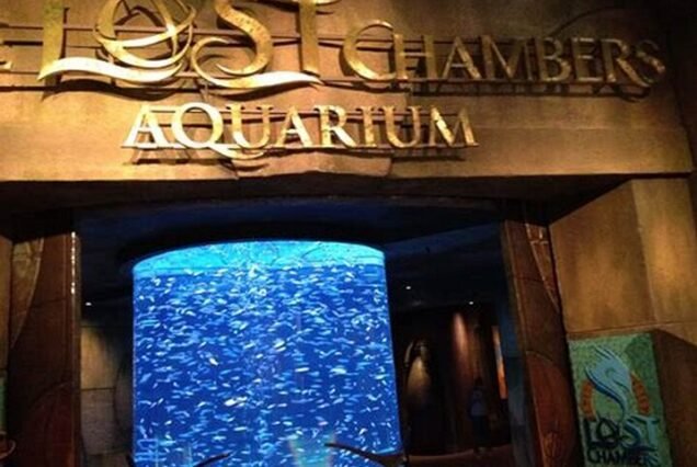 Best Dubai water activities Cheap tickets