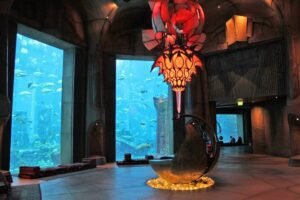 Best Dubai water activities Cheap tickets