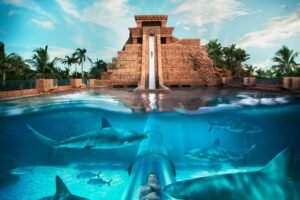 Dubai water activities cheap tickets