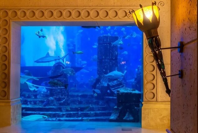 Best Dubai water activities Cheap tickets