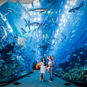 Dubai cheap tickets At the top Burj Khalifa Level 124 + Dubai Aquarium