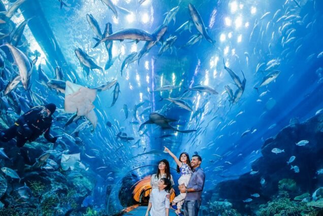 Dubai cheap tickets At the top Burj Khalifa Level 124 + Dubai Aquarium
