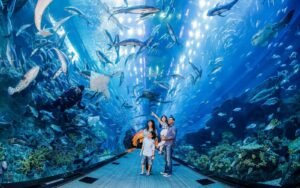 Dubai cheap tickets At the top Burj Khalifa Level 124 + Dubai Aquarium