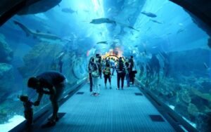 Dubai cheap tickets At the top Burj Khalifa Level 124 + Dubai Aquarium