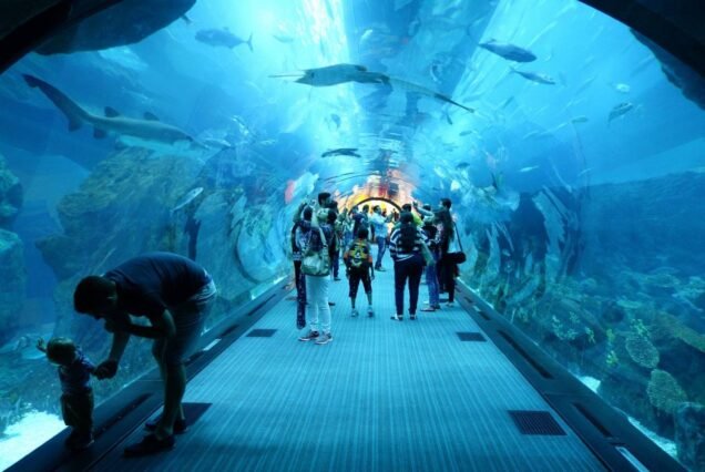 Dubai cheap tickets At the top Burj Khalifa Level 124 + Dubai Aquarium