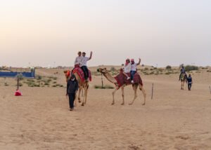 Dubai Best Desert Safari Shared Cheap tickets