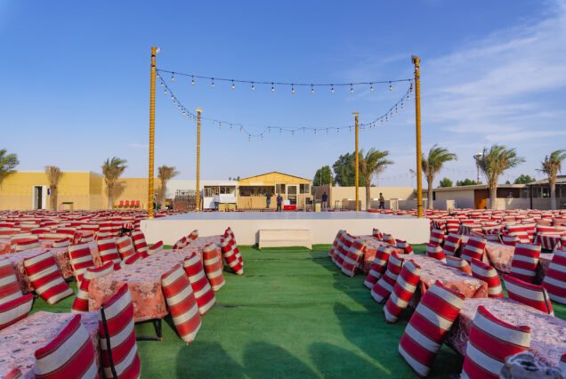 Desert Safari Standard with Private Transfer