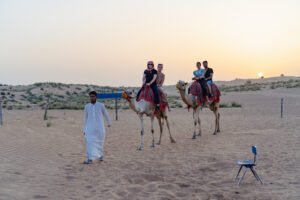 Dubai Best Desert Safari private cheap tickets price