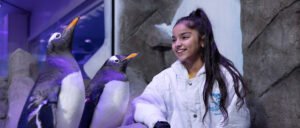 Dubai Burj Khalifa and Aquarium cheap price tickets