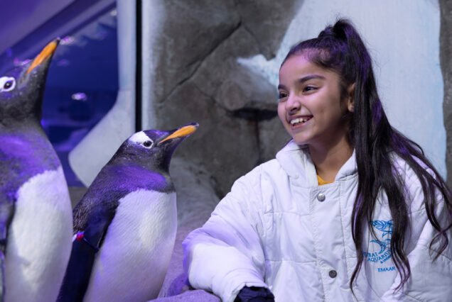 Dubai Burj Khalifa and Aquarium cheap price tickets