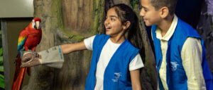 Dubai Burj Khalifa and Aquarium cheap price tickets