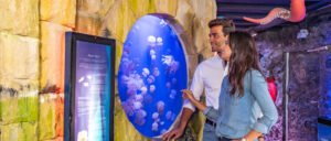 Dubai Burj Khalifa and Aquarium cheap price tickets