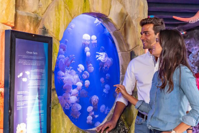 Dubai Burj Khalifa and Aquarium cheap price tickets