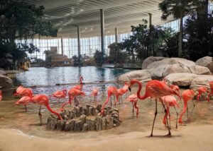 Abu Dhabi attraction cheap price tickets