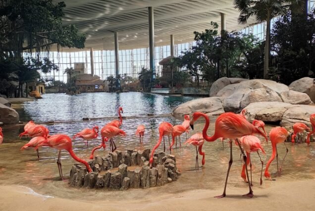 Abu Dhabi attraction cheap price tickets