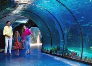 Abu Dhabi attraction cheap price tickets