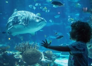 Abu Dhabi attraction cheap price tickets