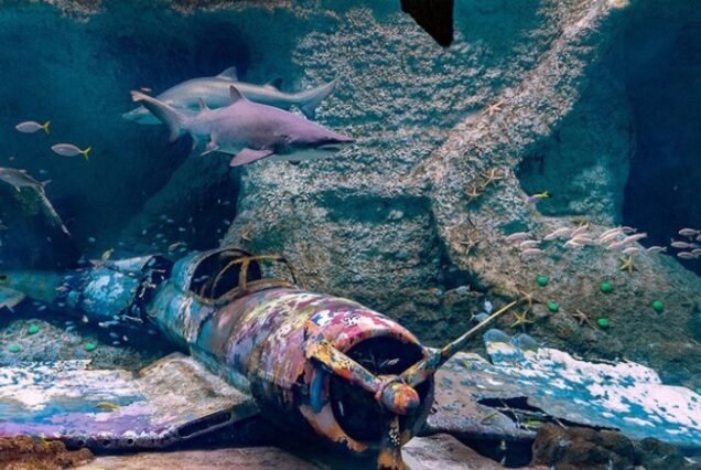 Abu Dhabi attraction cheap price tickets