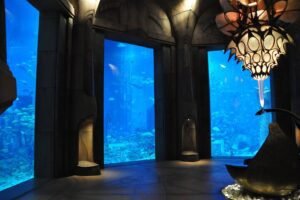 Best Dubai water activities Cheap tickets