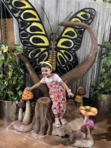 Dubai attractions cheap tickets