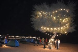 Dubai Safari Evening (VIP) - Private Cheap tickets