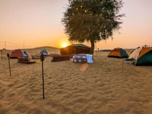 Dubai Safari Evening (VIP) - Private Cheap tickets