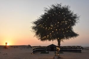 Dubai Morning Safari - Private Cheap tickets are available
