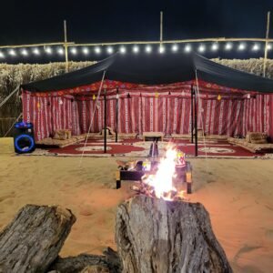 Dubai Safari Evening (VIP) - Private Cheap tickets