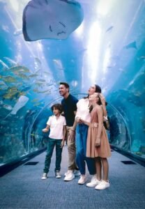Dubai Aquarium and Underwater Zoo at a cheap price with ICL tours.