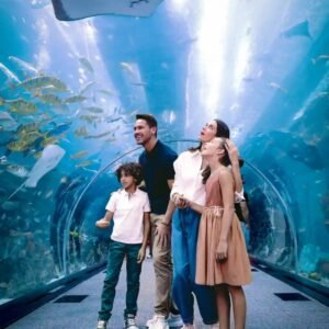 Dubai Aquarium and Underwater Zoo at a cheap price with ICL tours.