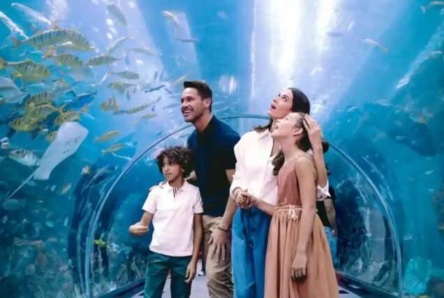 Dubai Aquarium and Underwater Zoo at a cheap price with ICL tours.